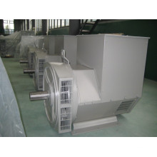 China 5kw-1000kw Brushless Alternators (JDG Serie)